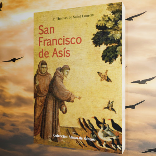 San Francisco de Ass